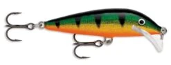 Rapala SRCD07 Scatter Rap Countdown 07 Balsa Minnow 23 Rapala SRCD07 Scatter Rap Countdown 07 Balsa Minnow -Cheap Fishing Store perch e4fa1e92 040f 41b2 97a5 7e25cb6229df