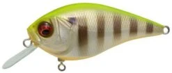 Megabass Knuckle LD Silent Crankbait 2 1/3 Inches -Cheap Fishing Store pm 2Bhot 2Bgill