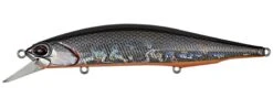 Duo Realis Jerkbait 110SP Suspending -Cheap Fishing Store prism shad 8b7f7310 1bc7 4a23 8014 52988529c47b