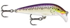 Rapala SRCD07 Scatter Rap Countdown 07 Balsa Minnow 24 Rapala SRCD07 Scatter Rap Countdown 07 Balsa Minnow -Cheap Fishing Store purpledescent
