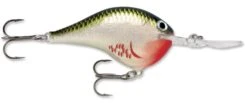 Rapala DT Series Crankbait DT16 -Cheap Fishing Store rapala dt10 bleeding olive shiner b0933817 f4b0 4dbd 8841 3fc7fccc6f40