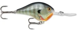 Rapala DT Series Crankbait DT16 -Cheap Fishing Store rapala dt10 bluegill f174ddf6 bff7 40b2 a370 19e4ee6a3db7