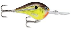 Rapala DT Series Crankbait DT14 -Cheap Fishing Store rapala dt10 hot mustard 02f0ad77 dcc4 488f 98e0 686fa6c67e93