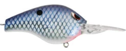SPRO Fat Papa 70 Deep Diving Crankbait -Cheap Fishing Store river tn gizzard