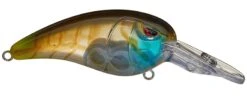 SPRO Mike McClelland RkCrawler MD 55 Medium Diving Crankbait 33 SPRO Mike McClelland RkCrawler MD 55 Medium Diving Crankbait -Cheap Fishing Store rs 2 a240553c 9eb6 401b b839 39e4423478fe