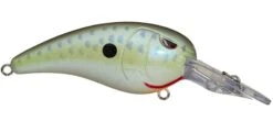 SPRO Mike McClelland RkCrawler MD 55 Medium Diving Crankbait 32 SPRO Mike McClelland RkCrawler MD 55 Medium Diving Crankbait -Cheap Fishing Store rs c0c1e660 d2e1 4c5f afb0 4923ac81f101