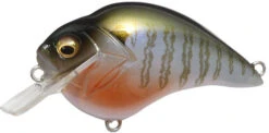 Megabass S Crank 1.2 Shallow Squarebill Crankbait -Cheap Fishing Store s crank secret gill