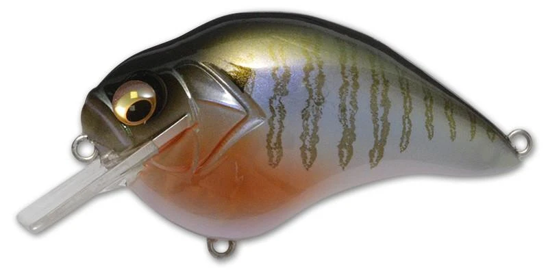 Megabass S Crank 1.5 Shallow Squarebill Crankbait 6 Megabass S Crank 1.5 Shallow Squarebill Crankbait - Image 6
