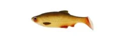 Westin Ricky The Roach 2 3/4 Inch Soft Paddle Tail Swimbait 5 Pack -Cheap Fishing Store s l1600 5da73f45 ee26 4f3c 9294 e1e9a25eb1f1