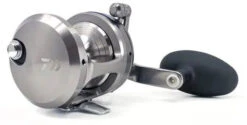 Daiwa Saltiga Star Drag 20/30/35/40/50 Conventional Reels -Cheap Fishing Store saltigastar1 600x600 jpg