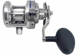Daiwa Saltiga Star Drag 20/30/35/40/50 Conventional Reels -Cheap Fishing Store saltigastar2