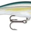 Rapala Scatter Rap 09 Tail Dancer Deep Diving Crankbait