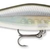 Rapala Shadow Rap Shad Deep 09 Jerkbait
