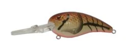 SPRO Mike McClelland RkCrawler 55 Deep Diving Crankbait 28 SPRO Mike McClelland RkCrawler 55 Deep Diving Crankbait -Cheap Fishing Store spro rkcrawler mud bug 6061e792 0f33 460d 8629 f54528c12c72