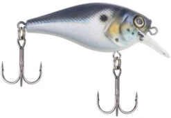Berkley SquareBull 2 3/8 Inch Shallow Squarebill Crankbait -Cheap Fishing Store squarebull blue black 785f5c02 8d74 4391 8cff efb332981a52