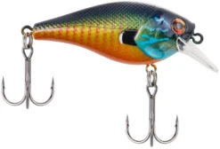 Berkley SquareBull 2 3/8 Inch Shallow Squarebill Crankbait -Cheap Fishing Store squarebull gilly 9823b24f 821b 42a2 bbbb 0c93e43286eb