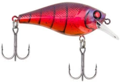 Berkley SquareBull 2 3/8 Inch Shallow Squarebill Crankbait -Cheap Fishing Store squarebull special red craw a3eeef37 c990 4d30 a2a4 9203d3981ecd