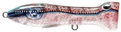Nomad Design Chug Norris Freshwater/Inshore Popper -Cheap Fishing Store squid surprise