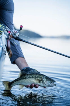 Temple Fork Outfitters Tactical Elite Bass Spinning Rods 24 Temple Fork Outfitters Tactical Elite Bass Spinning Rods -Cheap Fishing Store tfo tactical elite bass bottom banner lifestyle 1 1 3aefa395 da73 4318 948c 1a40ec1d5732