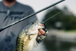 Temple Fork Outfitters Tactical Elite Bass Swimbait Casting Rods -Cheap Fishing Store tfo tactical elite bass bottom banner lifestyle 5 1 73339f39 bce7 4dcd 992e bb5a21a97248