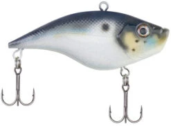 Berkley Warpig Lipless Crankbait -Cheap Fishing Store warpig blue back